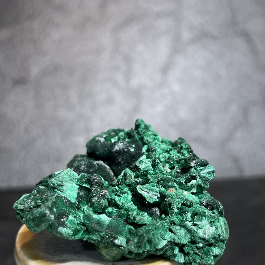 645a734ad87efe005eddad50