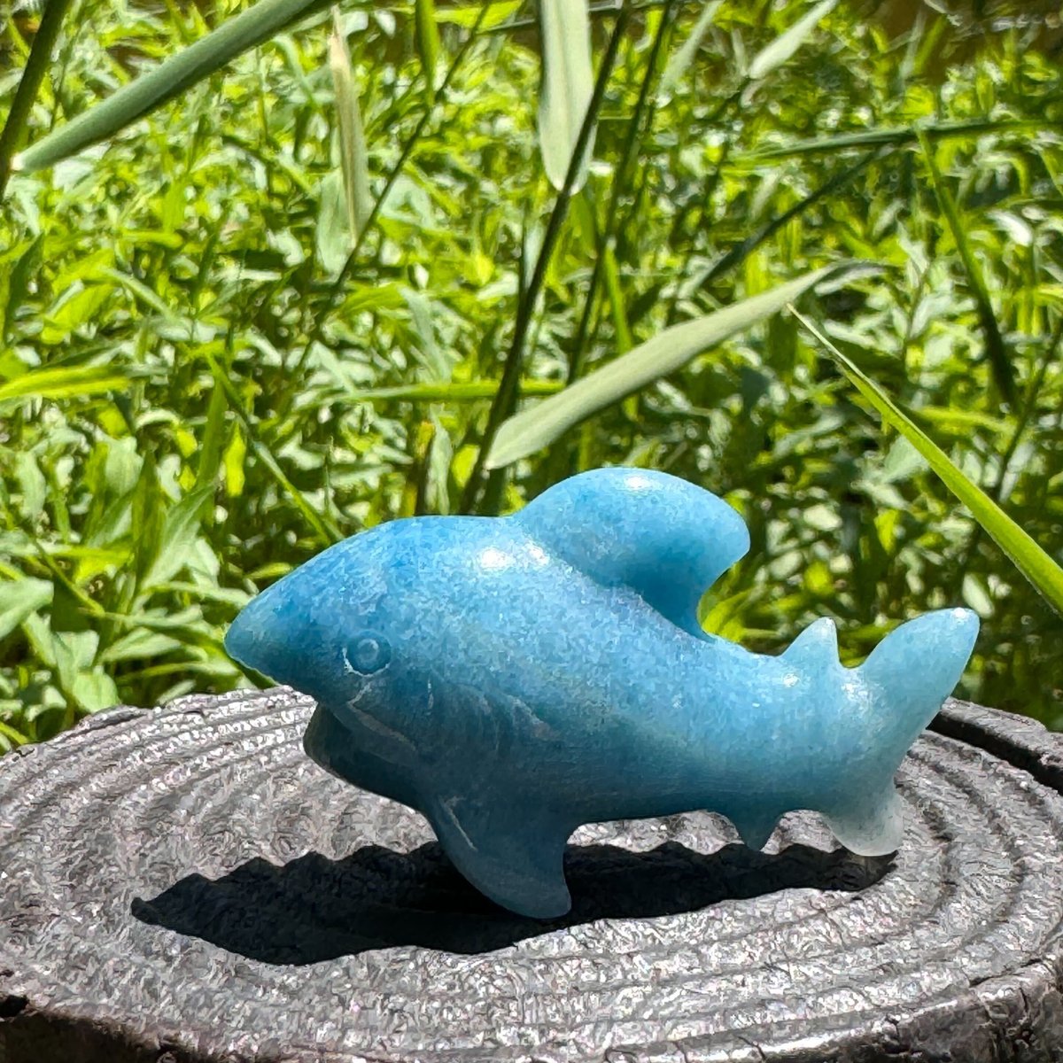 トロレアイト 鮫 サメ トロレアイト 鮫 サメ - メルカリ