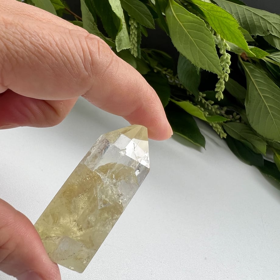 62ea2f9eb8215653ac77b2e5