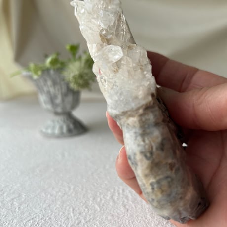 水晶の結晶ザクザクのぞうさん