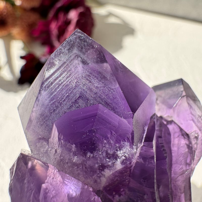 ✨ アメジスト ドラゴントゥース - 龍の牙が開く運命の扉 ✨ | Studio