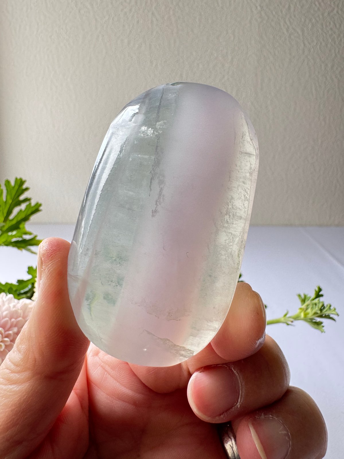 🌙《静けさの中に浮かぶ月影──イットリウムフローライト・パーム