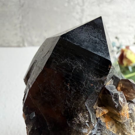 揺るがぬ芯を抱く黒結晶　－　コンゴ産モリオン