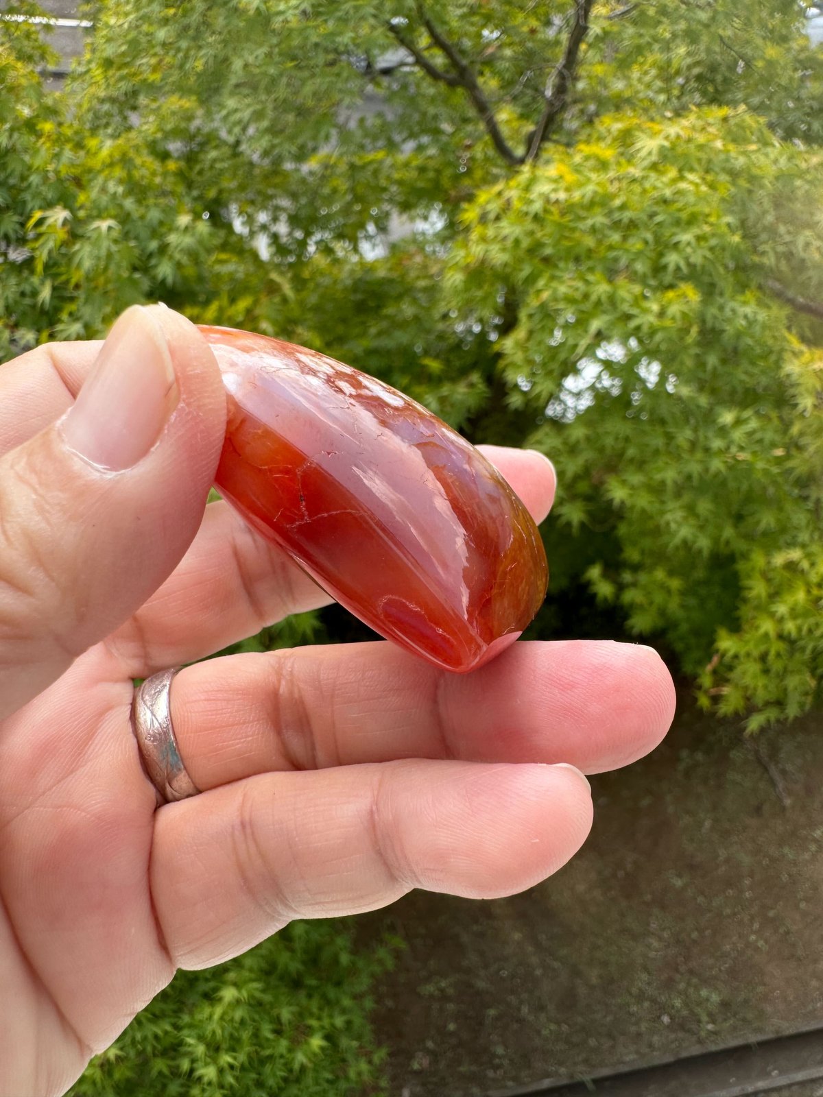 高品質桜めのう カーネリアン共生フリーフォーム浄化癒し