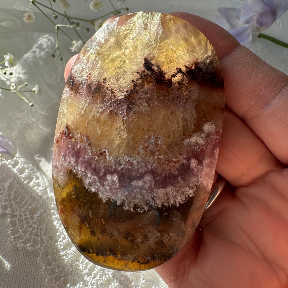 699079abe080d90b3d65f3bd