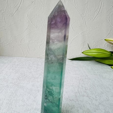 バイカラーフローライト | STORES