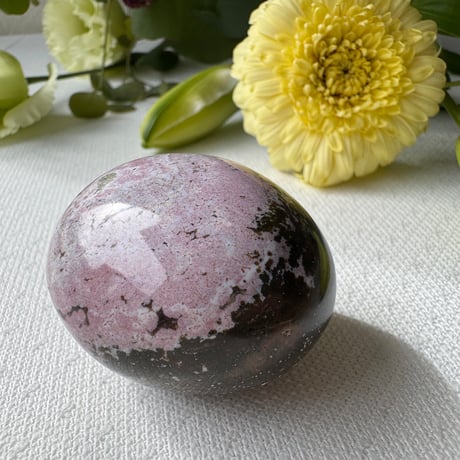 オーシャンジャスパー | STORES