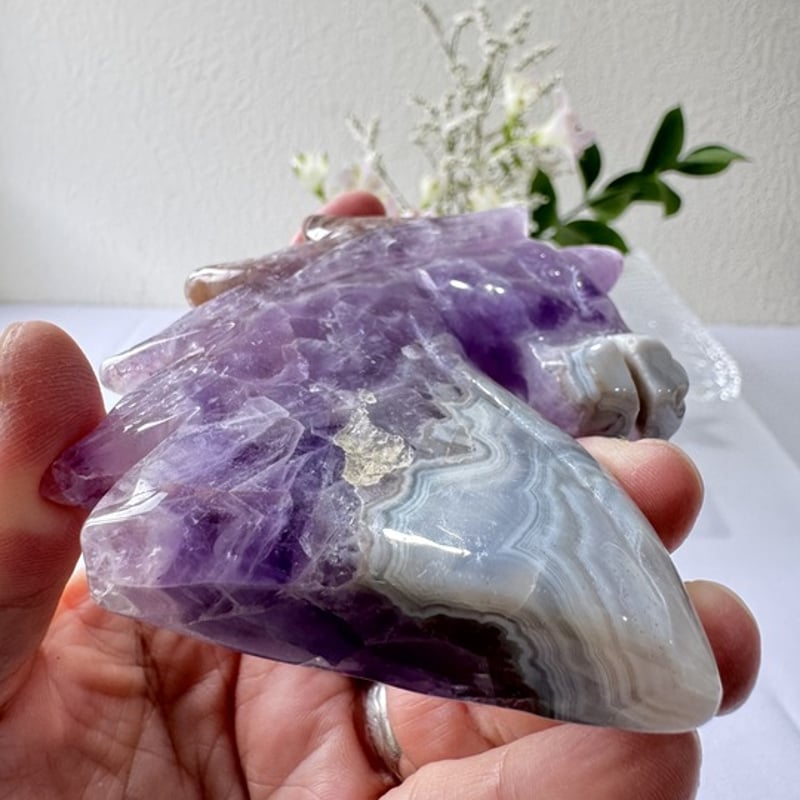 🦄《静かな守護の幻獣──ケープアメジスト・ユニコーン》 𓂃𓈒𓏸