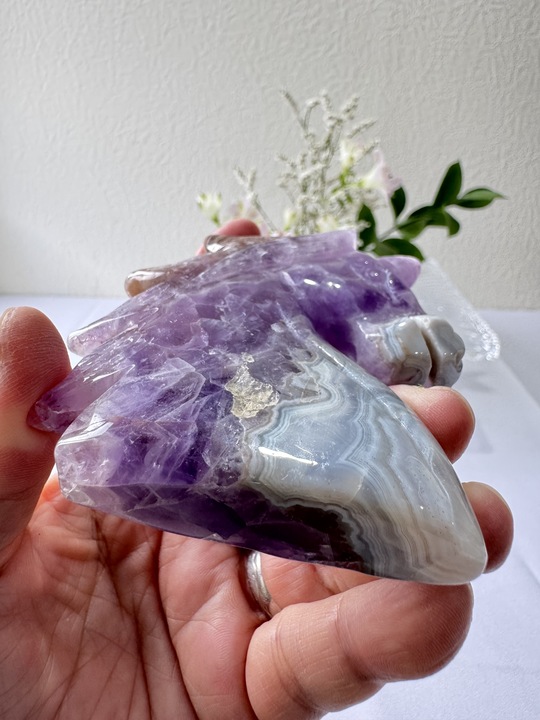 🦄《静かな守護の幻獣──ケープアメジスト・ユニコーン》 𓂃𓈒𓏸