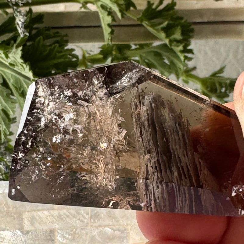 🌳《重なる記憶の庭──スモーキークォーツイン千層ガーデン