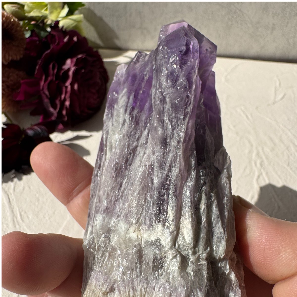 ✨ アメジスト ドラゴントゥース - 龍の牙が開く運命の扉 ✨ | Studio