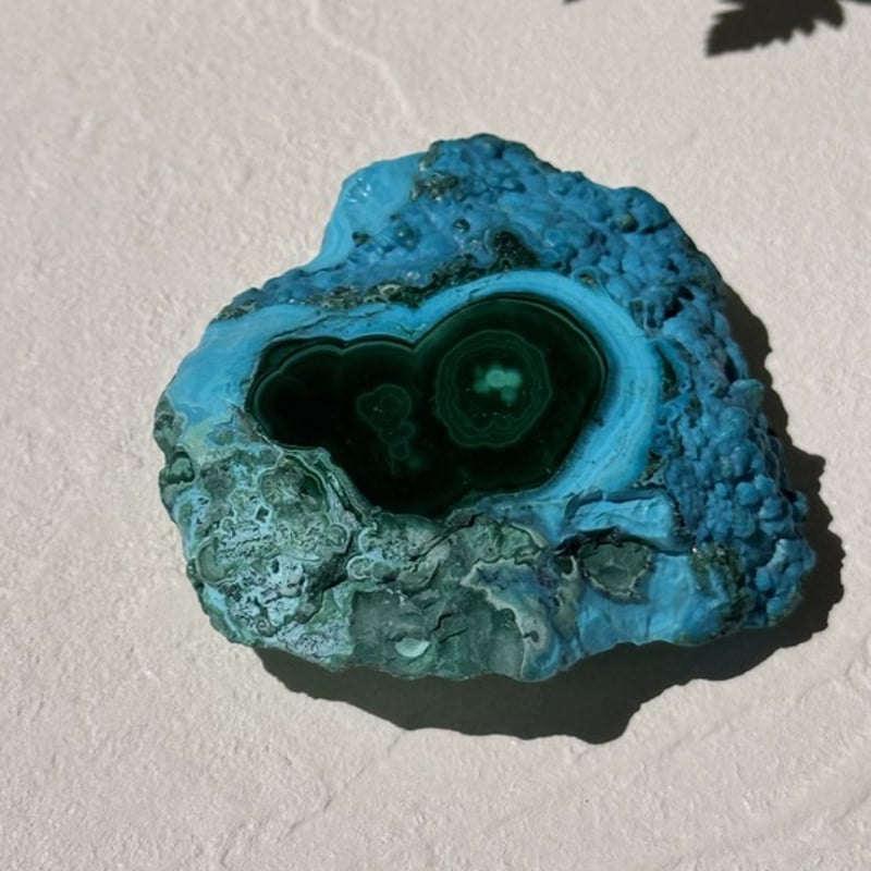 海と森が出逢う場所》 青と緑が溶けあう、深呼吸のようなひととき