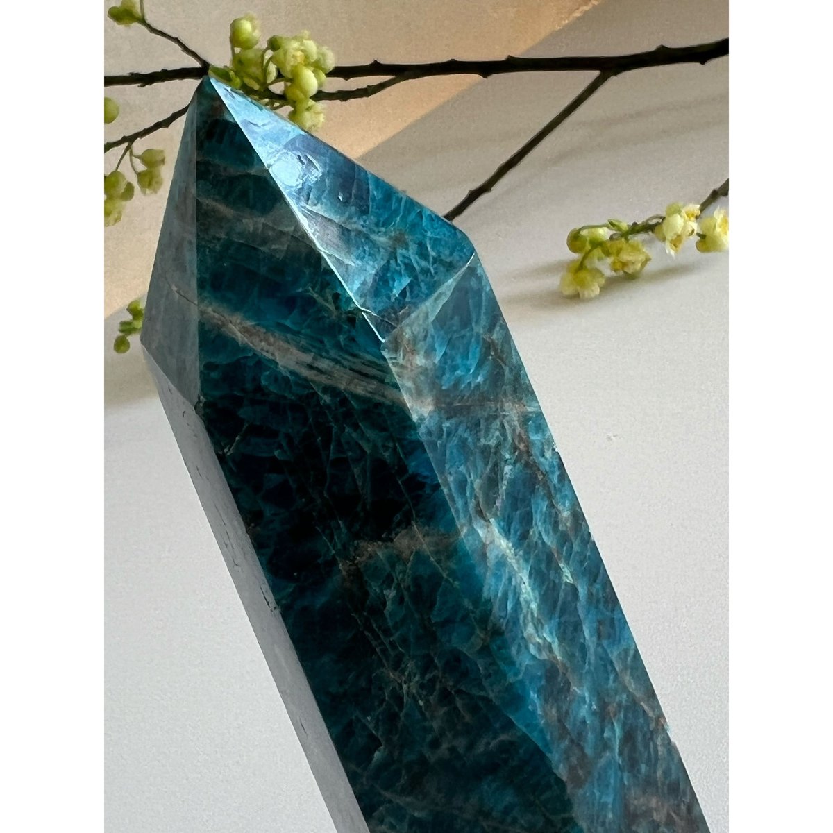 ブルーアパタイト タワー | Studio Kururi