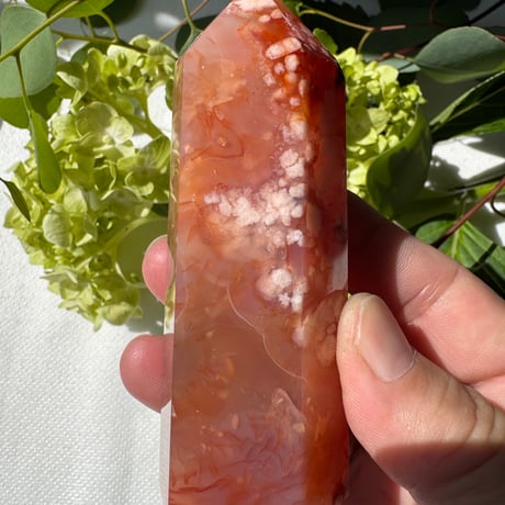 「夕焼けに咲く桜 ― 赤みを帯びた桜瑪瑙」