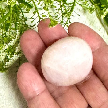 🪽天使たちのギフトセット　🕊お守りタンブル🕊