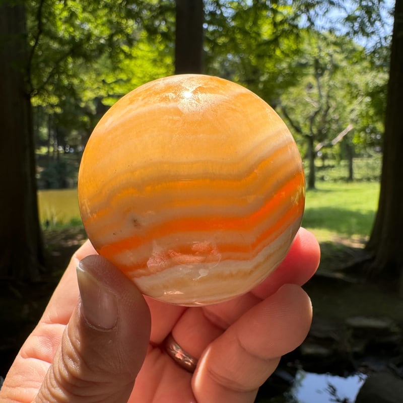 貝付きイエロー 燐光カルサイト レース模様 イエローカルサイト 11.5mm ブレスレット 1個売り