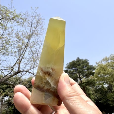 🍋🌞 「夢に杭を打つ光」〜イエローカルサイトが導く、自分らしさの道〜 🌈🕊️