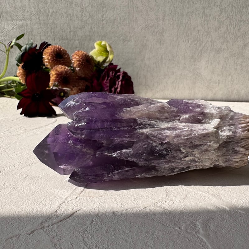 ✨ アメジスト ドラゴントゥース - 龍の牙が開く運命の扉 ✨ | Studio