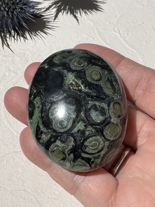 🌱カンババジャスパー ― 静かなる叡智の石 | Studio Kururi