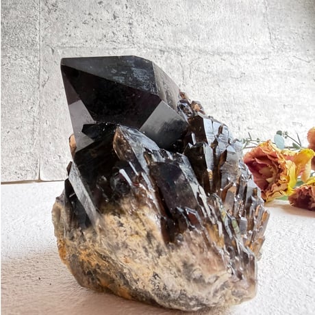 揺るがぬ芯を抱く黒結晶　－　コンゴ産モリオン