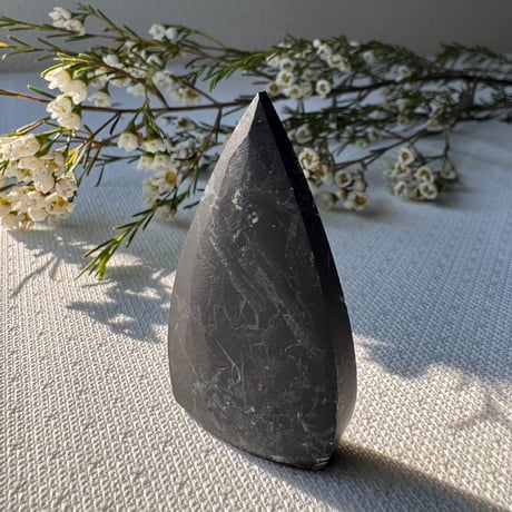 ★特選NEW★希少レア☆奇跡の石【シュンガイトフラワーオブライフプレート 】❤️ ☆特選NEW☆希少レア☆奇跡の石【シュンガイトフラワーオブライフ