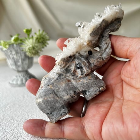 水晶の結晶ザクザクのぞうさん