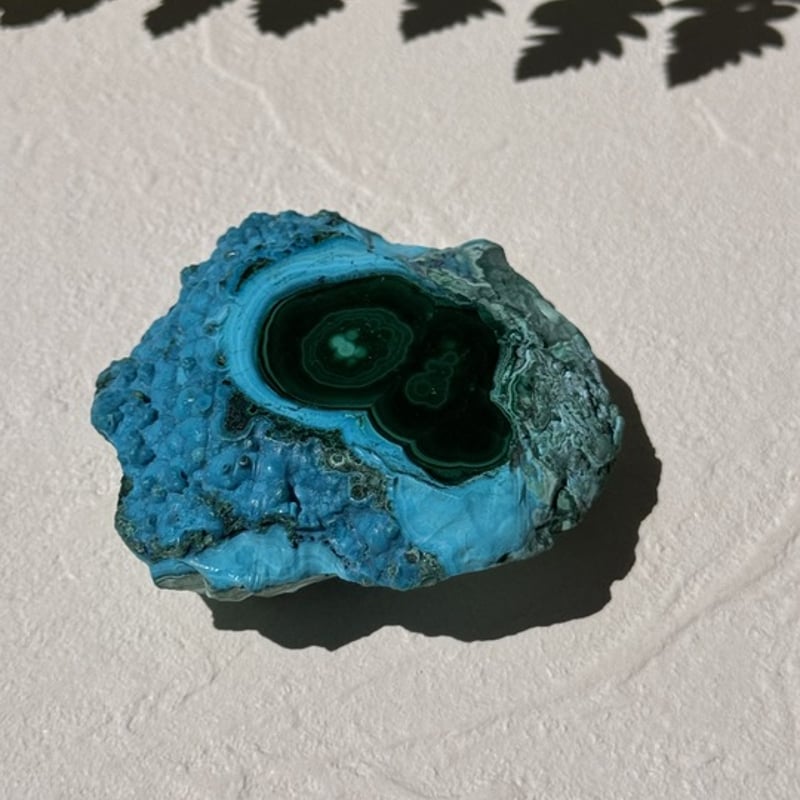 海と森が出逢う場所》 青と緑が溶けあう、深呼吸のようなひととき