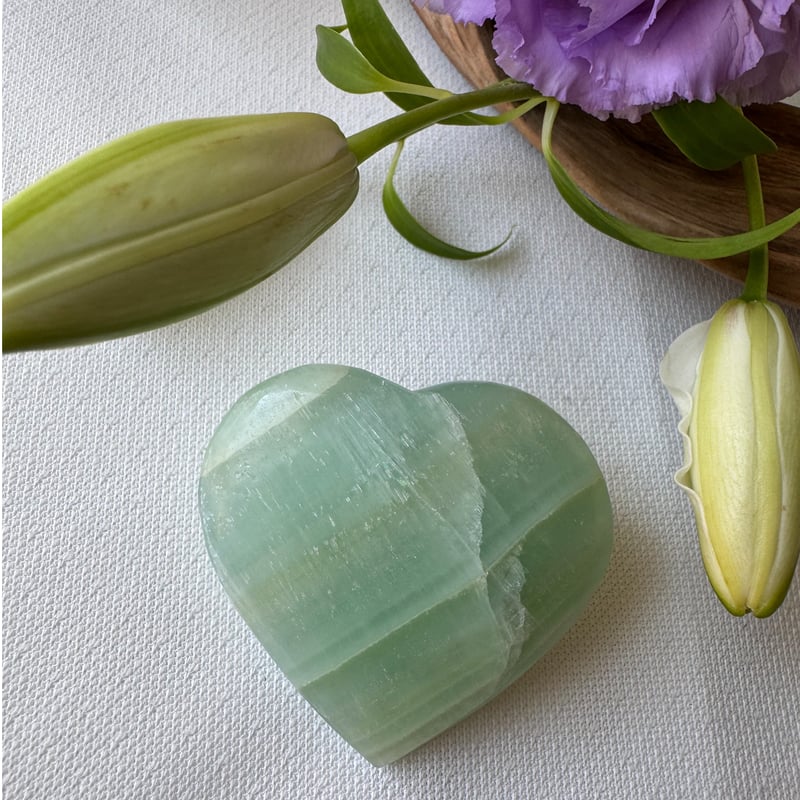 優しさの記憶をたたえて》 ピスタチオカルサイト | Studio Kururi