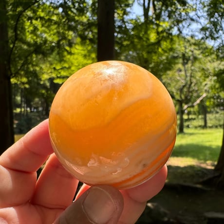 イエローカルサイト | STORES