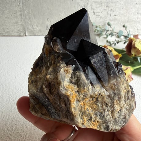 揺るがぬ芯を抱く黒結晶　－　コンゴ産モリオン