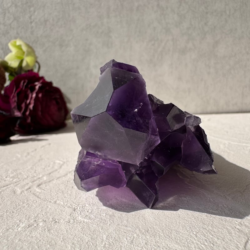 ✨ アメジスト ドラゴントゥース - 龍の牙が開く運命の扉 ✨ | Studio