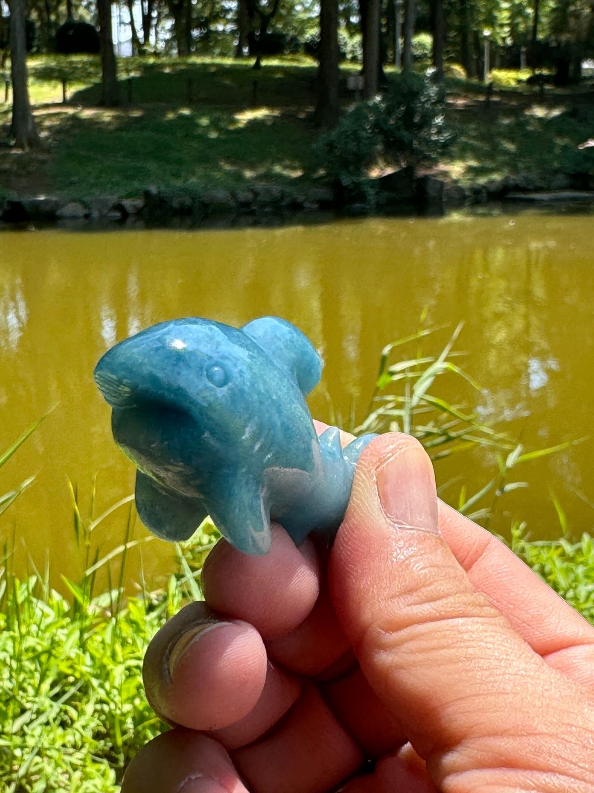 トロレアイト 鮫 サメ トロレアイト 鮫 サメ