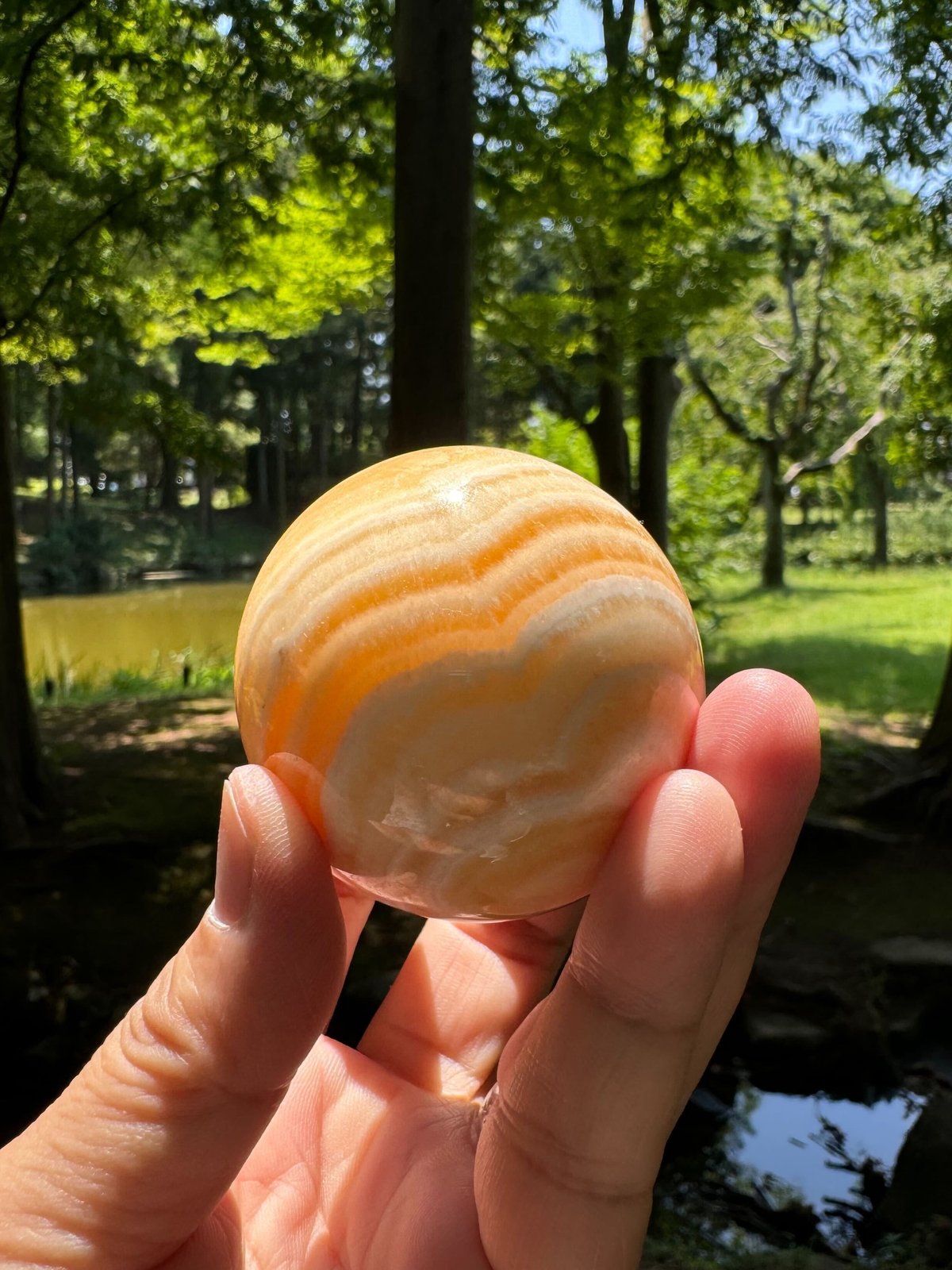 貝付きイエロー 燐光カルサイト カルサイト(方解石) 六面体 84g