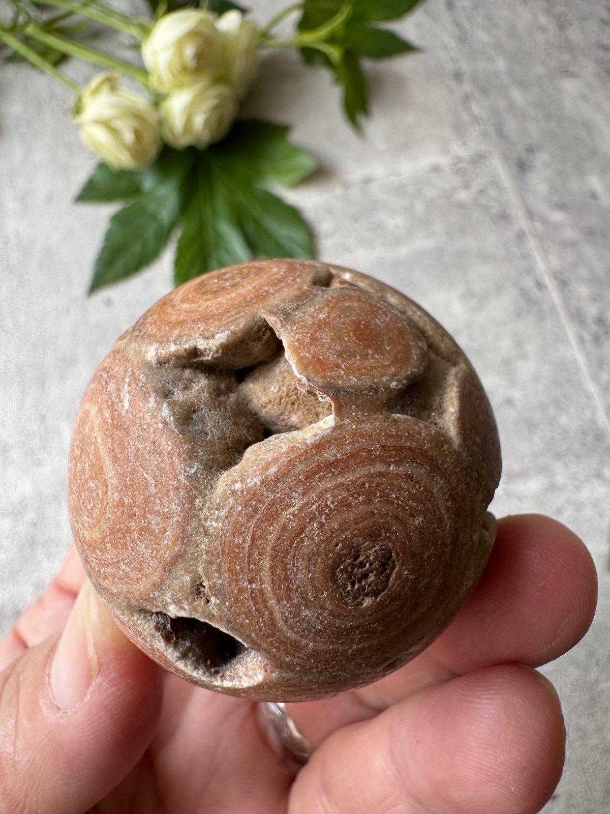 導かれる縁の記憶をたどる球体》龍宮舎利石 （りゅうきゅうしゃりせき