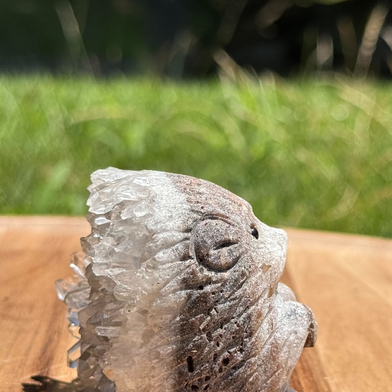 クリスタル・スパイクの幸運のハリネズミ | Studio Kururi