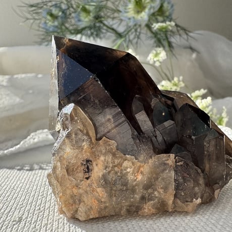 煙水晶 | STORES