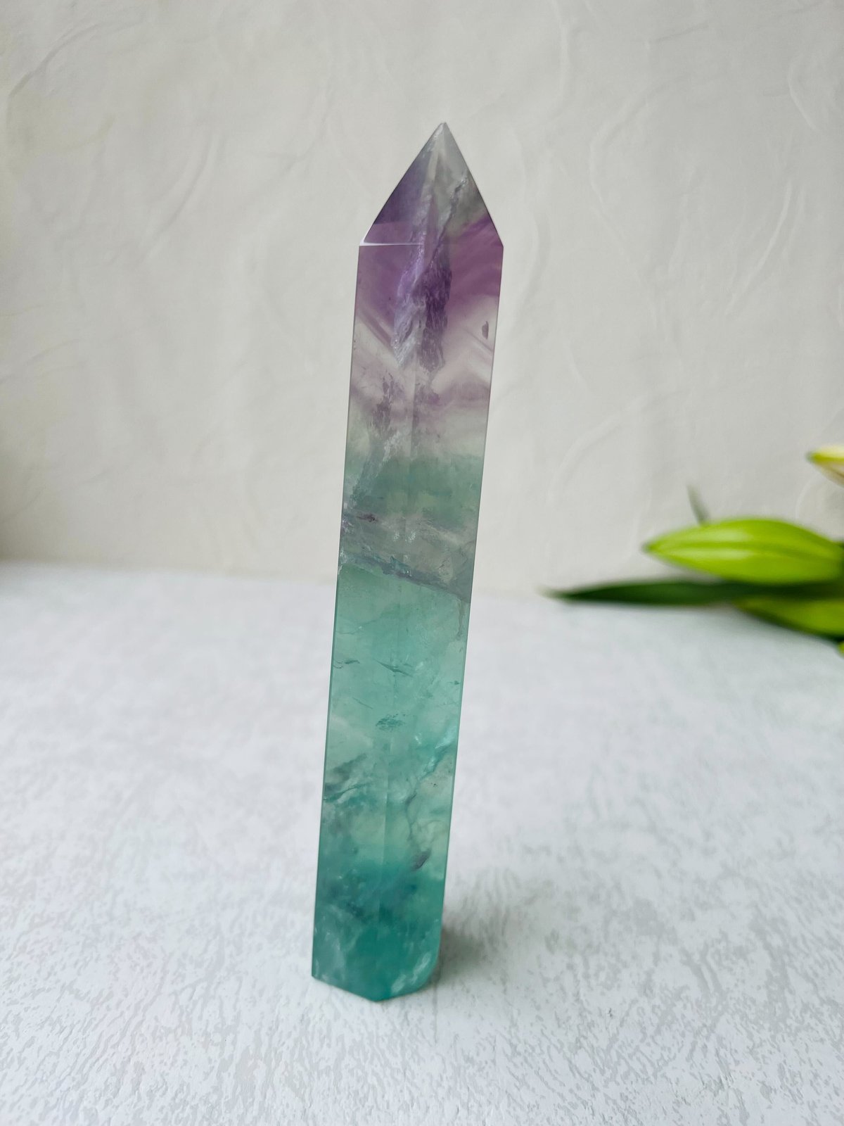 ウォーターメロンフローライト ① | Studio Kururi