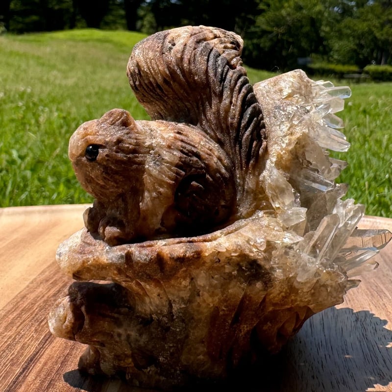 未来を見据える希望のリス | Studio Kururi