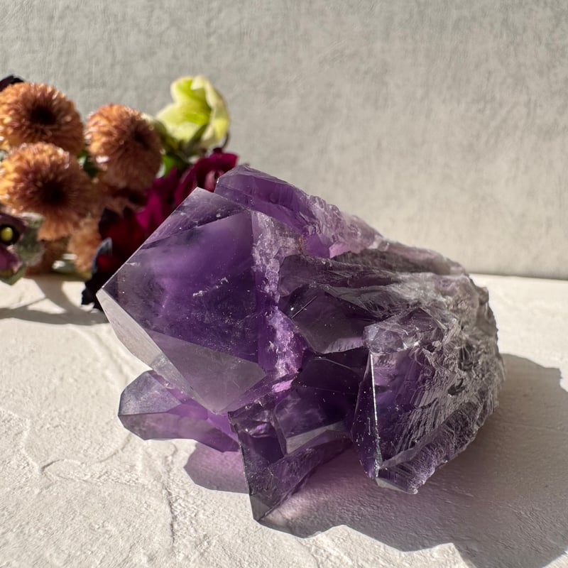 ✨ アメジスト ドラゴントゥース - 龍の牙が開く運命の扉 ✨ | Studio