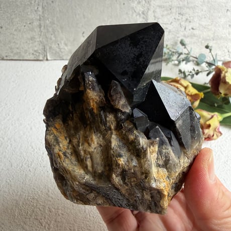 揺るがぬ芯を抱く黒結晶　－　コンゴ産モリオン