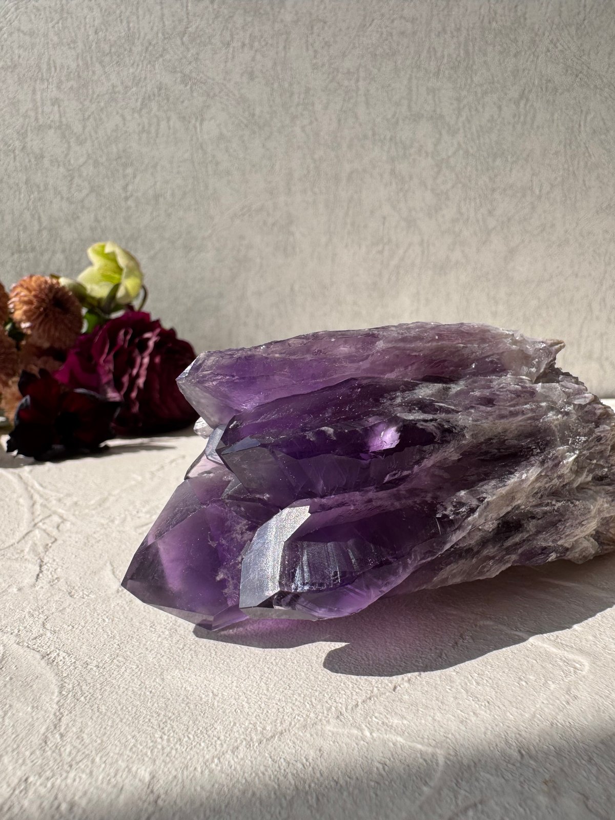 ✨ アメジスト ドラゴントゥース - 龍の牙が開く運命の扉 ✨ | Studio