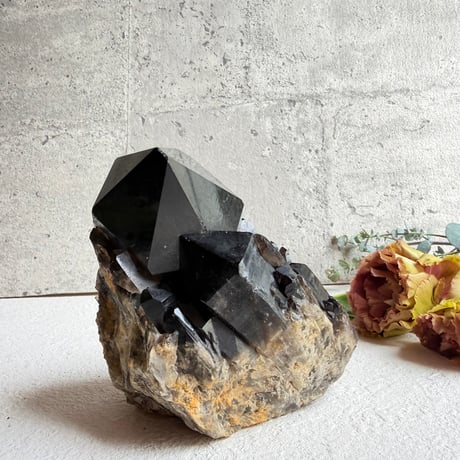 揺るがぬ芯を抱く黒結晶　－　コンゴ産モリオン