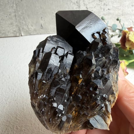 揺るがぬ芯を抱く黒結晶　－　コンゴ産モリオン