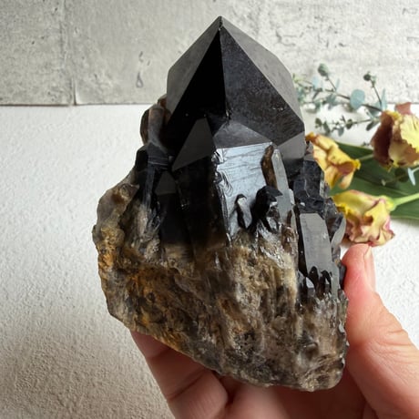 揺るがぬ芯を抱く黒結晶　－　コンゴ産モリオン