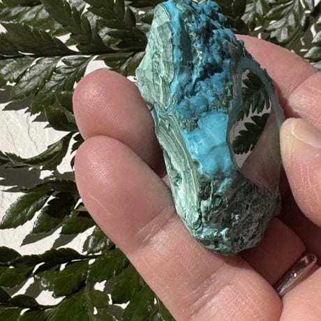 《海と森が出逢う場所》 　青と緑が溶けあう、深呼吸のようなひととき　クリソコラ＆マラカイト🍃