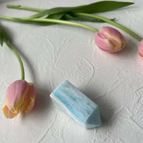 カリビアンブルーカルサイト | STORES