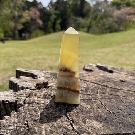 🍋🌞 「夢に杭を打つ光」〜イエローカルサイトが導く、自分らしさの道〜 🌈🕊️