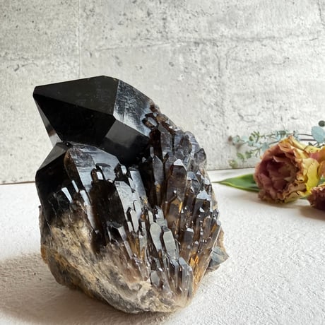 揺るがぬ芯を抱く黒結晶　－　コンゴ産モリオン