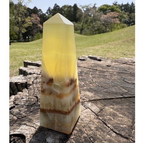 🍋🌞 「夢に杭を打つ光」〜イエローカルサイトが導く、自分らしさの道〜 🌈🕊️