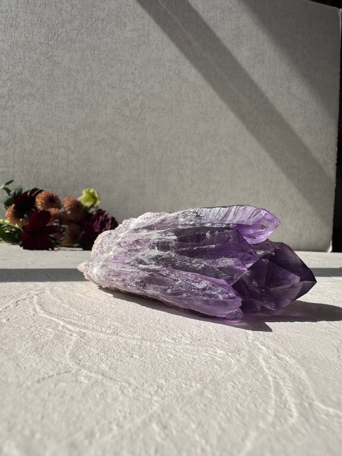 ✨ アメジスト ドラゴントゥース - 龍の牙が開く運命の扉 ✨ | Studio